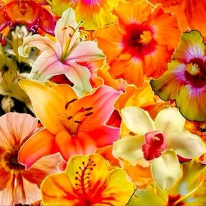 Meet your Posher, Avery